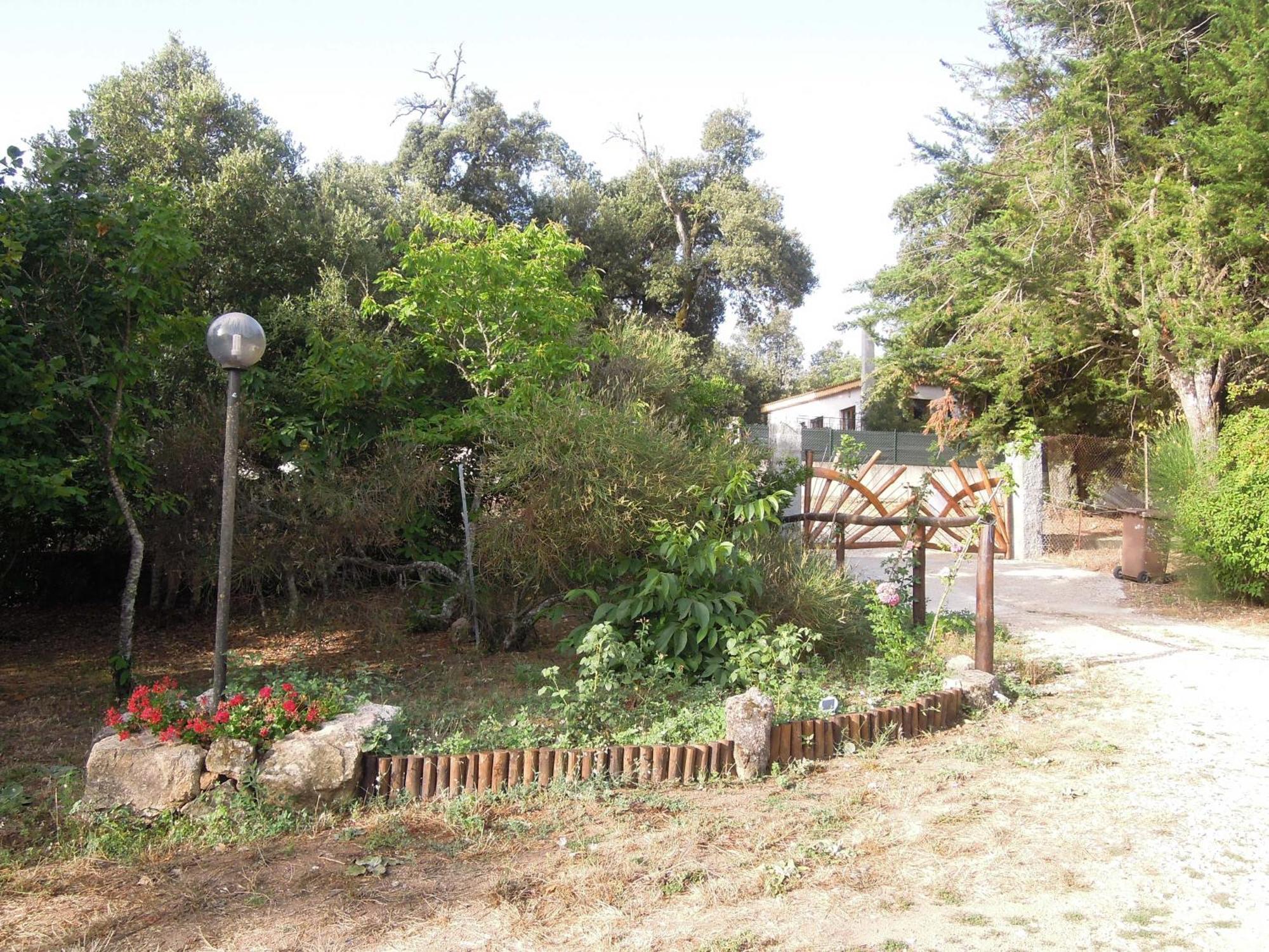 Pensjonat Casa Solotti Nuoro  Zewnętrze zdjęcie