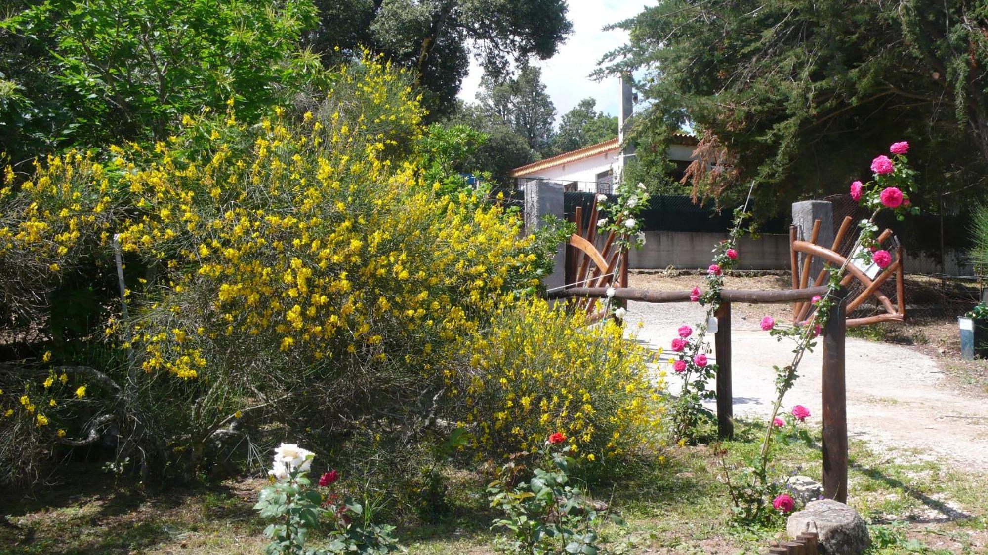 Pensjonat Casa Solotti Nuoro  Zewnętrze zdjęcie